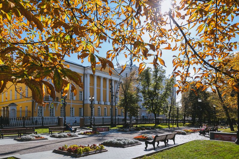 Иллюстрация к новости: Молодые ученые обсудили сотрудничество России и арабских стран